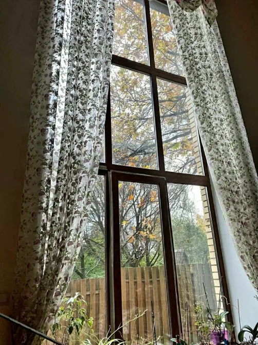 в Лесном Городке Лесной Городок - изображение 2