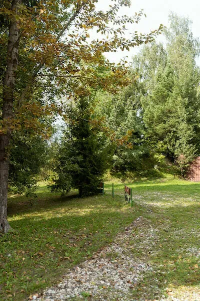 в Икше Икша - изображение 19