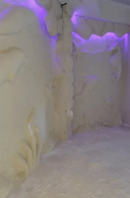 в Икше Икша - изображение 13