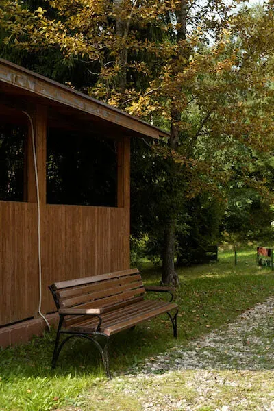 в Икше Икша - изображение 15