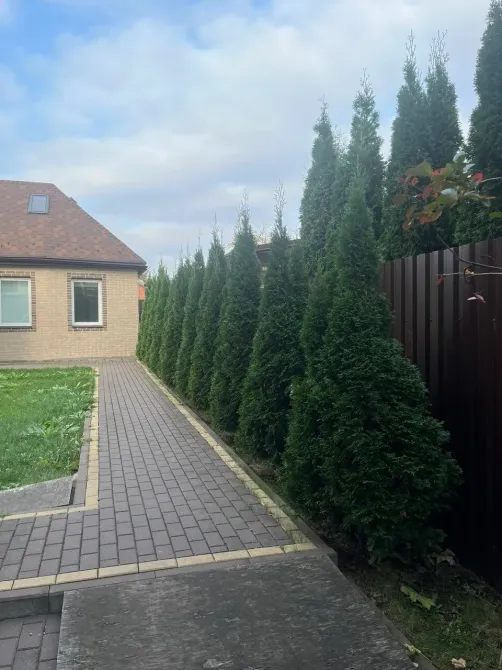 в Домодедово Домодедово - изображение 7