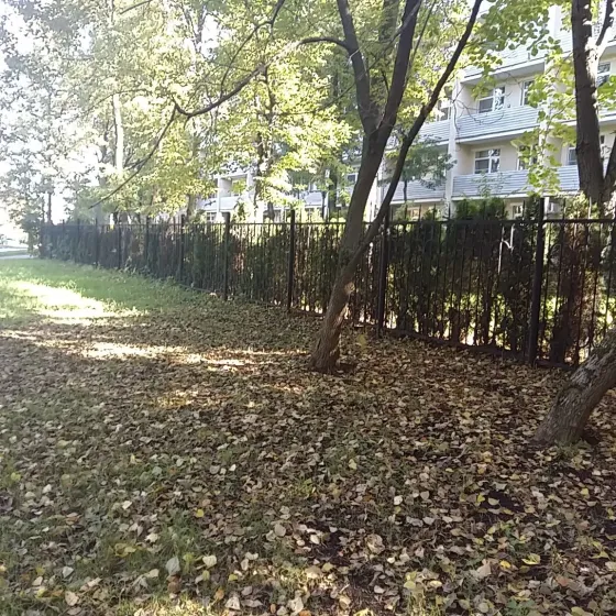 в Москве и Московской обл. Москва и Московская обл.