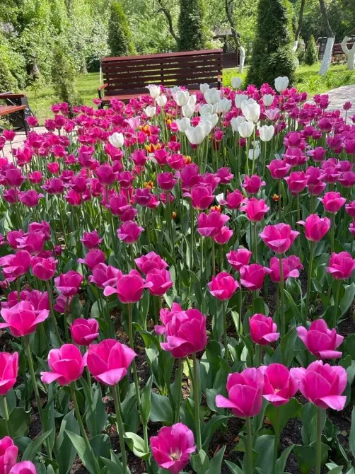 в Москве и Московской обл. Москва и Московская обл. - изображение 15