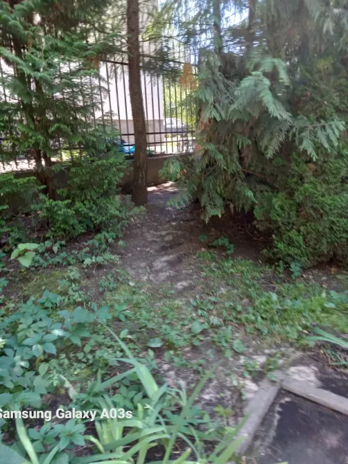 в Москве и Московской обл. Москва и Московская обл. - изображение 18