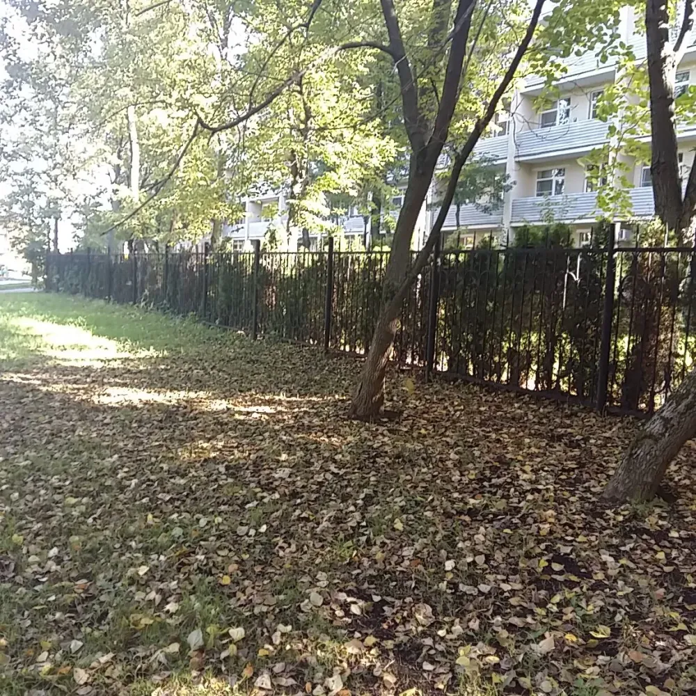 в Москве и Московской обл. Москва и Московская обл. - изображение 3