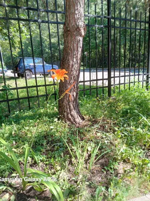 в Москве и Московской обл. Москва и Московская обл. - изображение 19