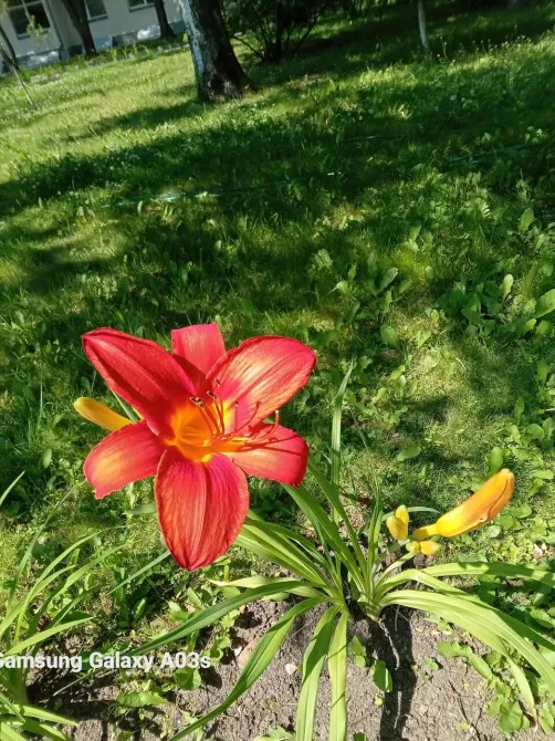 в Москве и Московской обл. Москва и Московская обл. - изображение 20