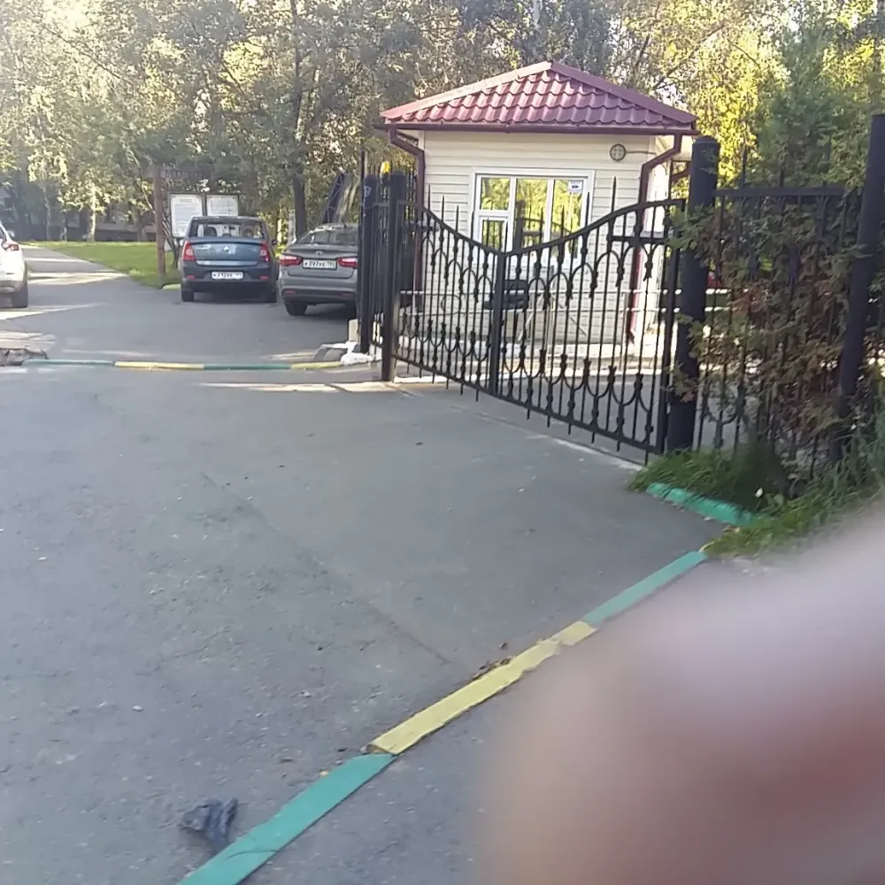 в Москве и Московской обл. Москва и Московская обл. - изображение 2