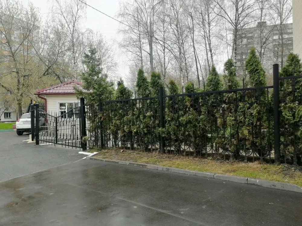 в Москве и Московской обл. Москва и Московская обл. - изображение 10