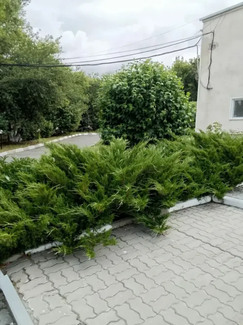 в Белгороде Белгород - изображение 18