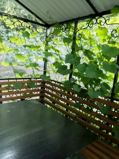 в Белгороде Белгород - изображение 13