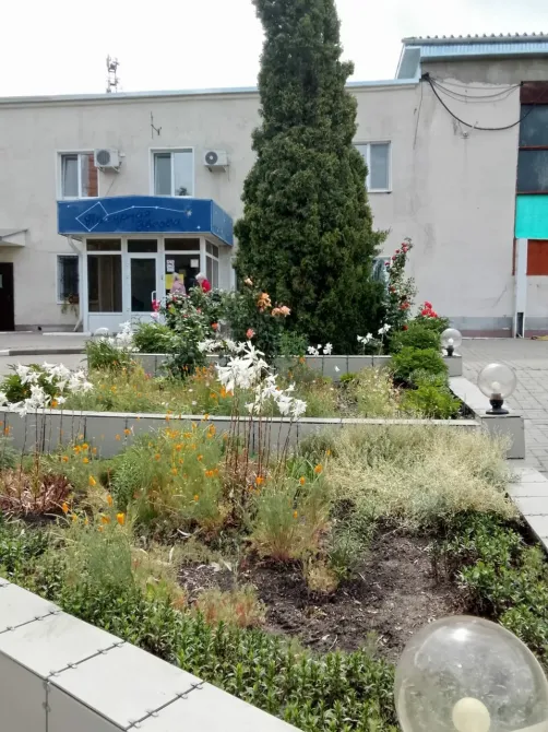 в Белгороде Белгород - изображение 15