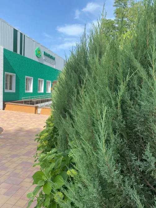 в Волгограде Волгоград - изображение 19