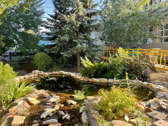 в Волгограде Волгоград