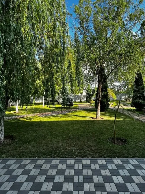 в Волгограде Волгоград - изображение 10