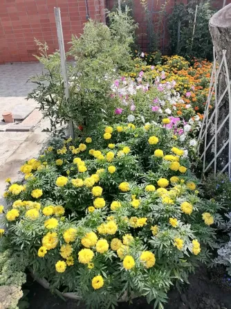 в Ростове-на-Дону Ростов-на-Дону