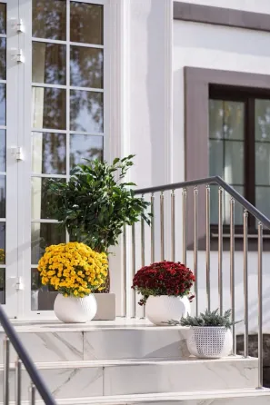 в Ростове-на-Дону Ростов-на-Дону