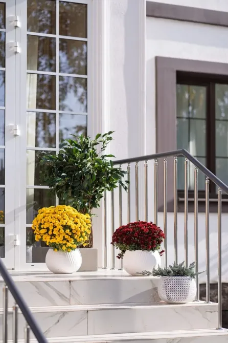 в Ростове-на-Дону Ростов-на-Дону - изображение 4