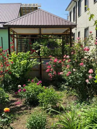 в Больших Салах Большие Салы