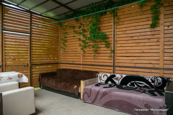 в Больших Салах Большие Салы