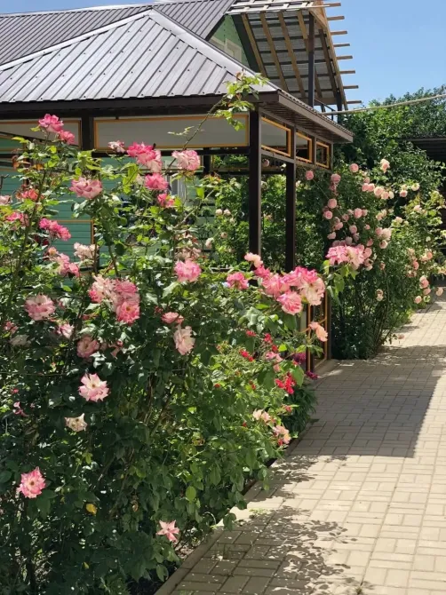 в Больших Салах Большие Салы - изображение 7