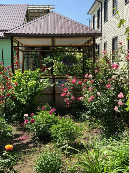 в Больших Салах Большие Салы - изображение 6