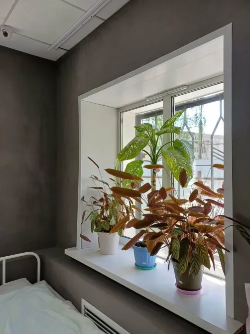 в Кирове Киров - изображение 16