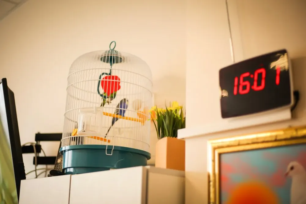 в Казани Казань - изображение 10