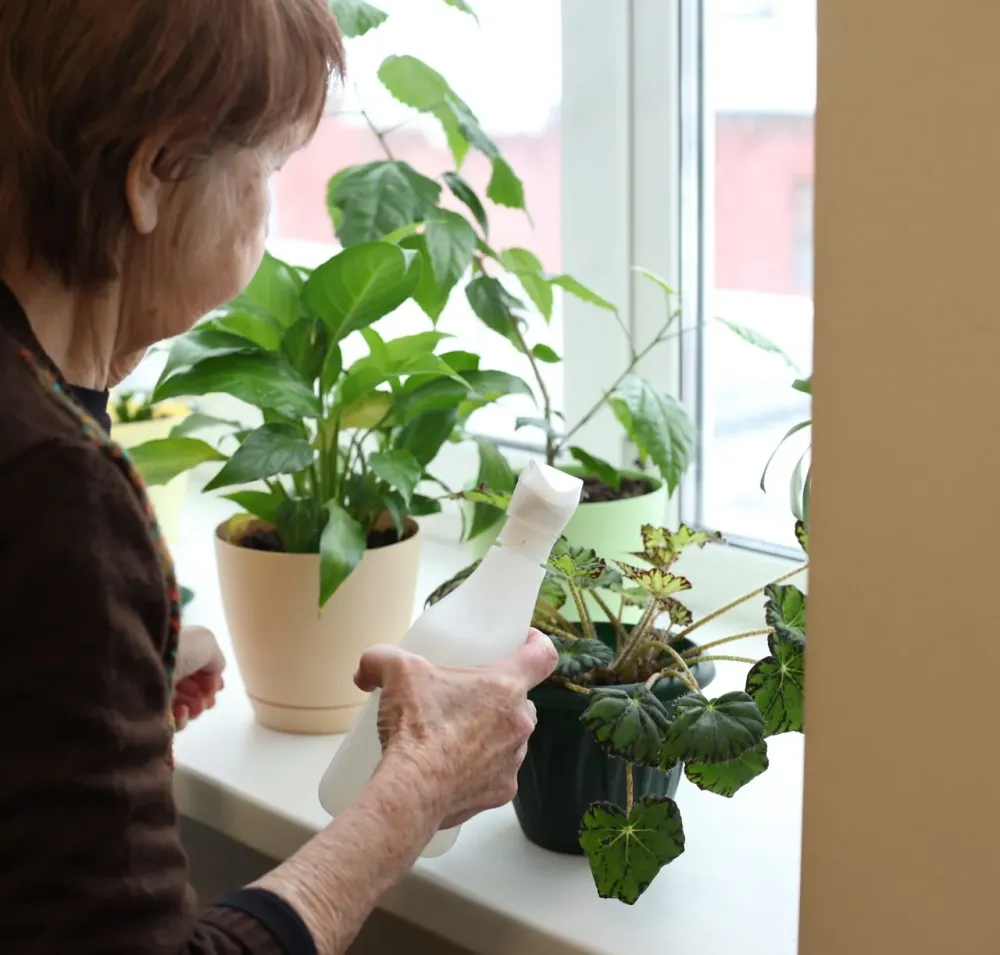 в Казани Казань - изображение 19