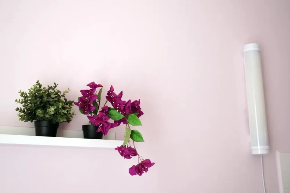 в Богородском Богородское - изображение 16