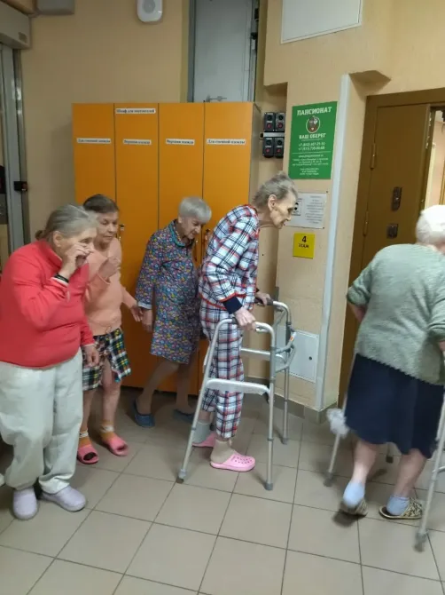 в Петергофе Петергоф - изображение 13