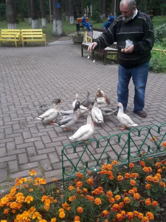 во Всеволожске Всеволожск