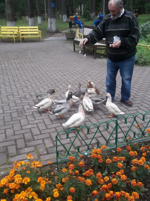 во Всеволожске Всеволожск - изображение 4