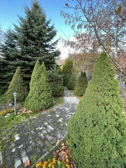 в Токсово Токсово - изображение 7