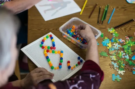 в Парголово Парголово