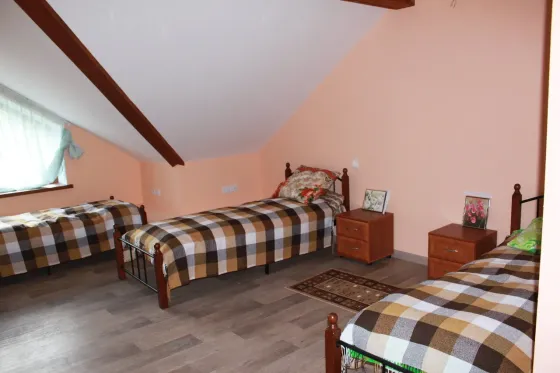 в Парголово Парголово