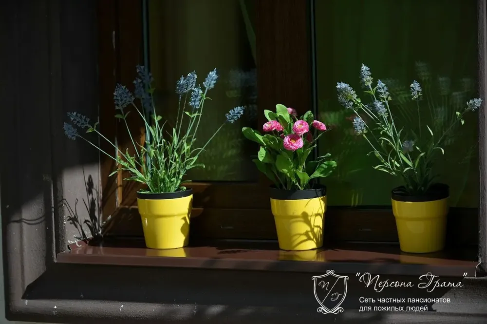 в Мурино Мурино - изображение 8