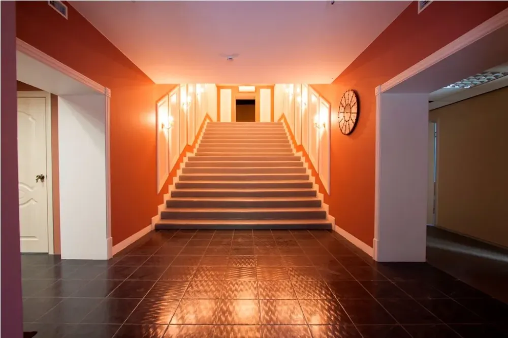 в Санкт-Петербурге Санкт-Петербург - изображение 10