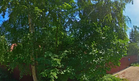 во Всеволожске Всеволожск