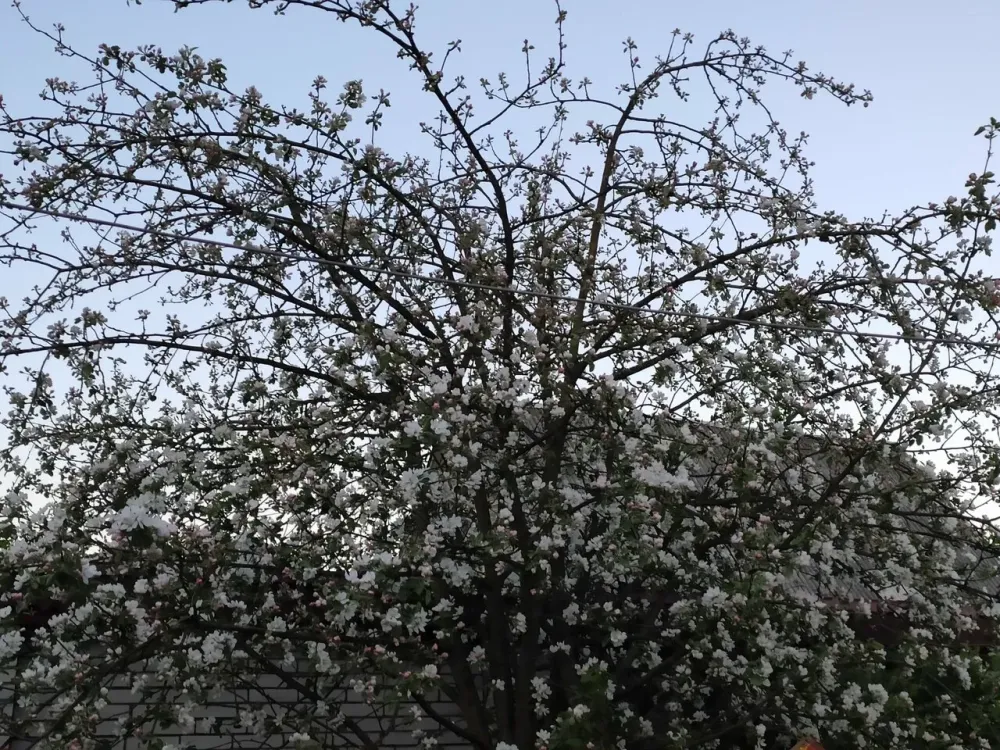 во Всеволожске Всеволожск - изображение 7