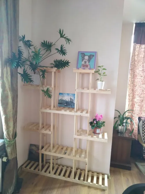 в Павлово Павлово - изображение 9