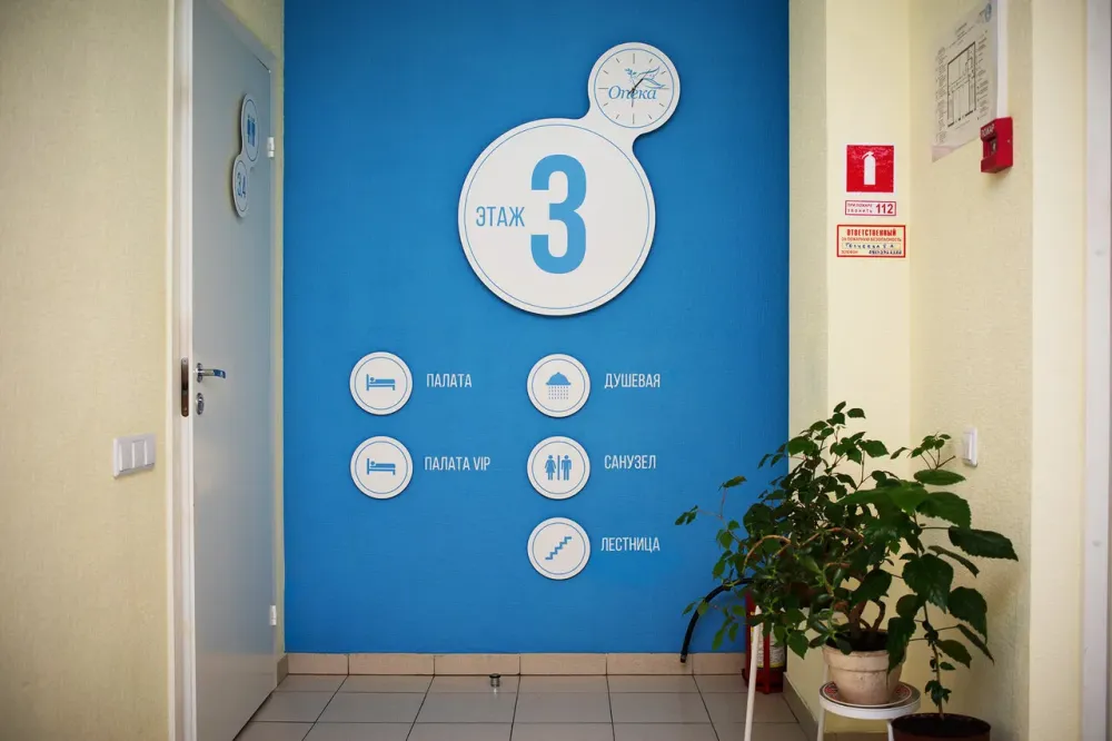 в Санкт-Петербурге Санкт-Петербург - изображение 16