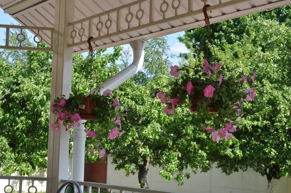 в Санкт-Петербурге Санкт-Петербург - изображение 7