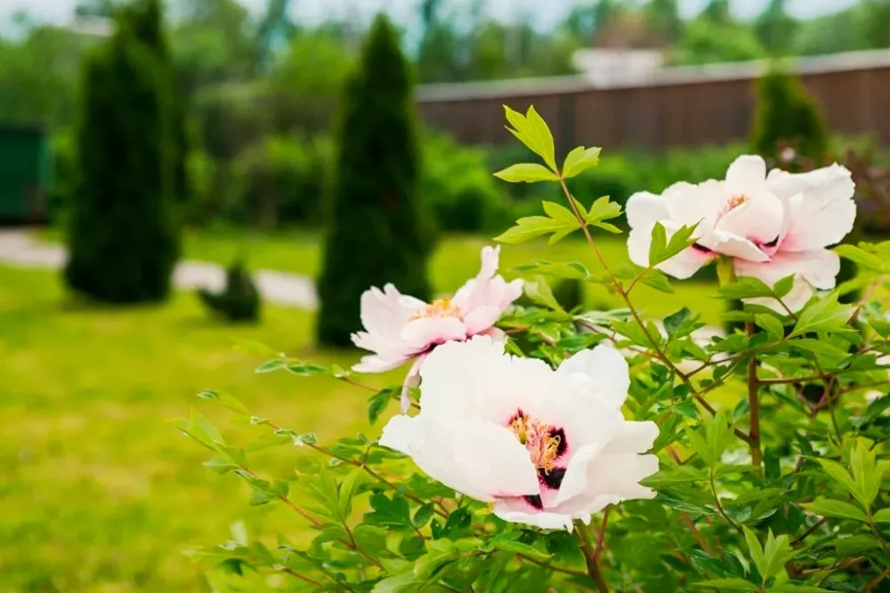 в Санкт-Петербурге Санкт-Петербург - изображение 16