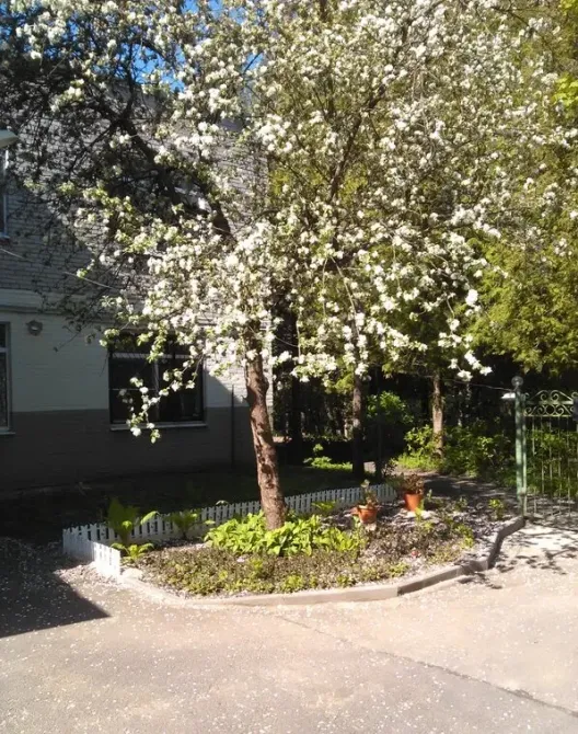 в Левашово Левашово - изображение 15