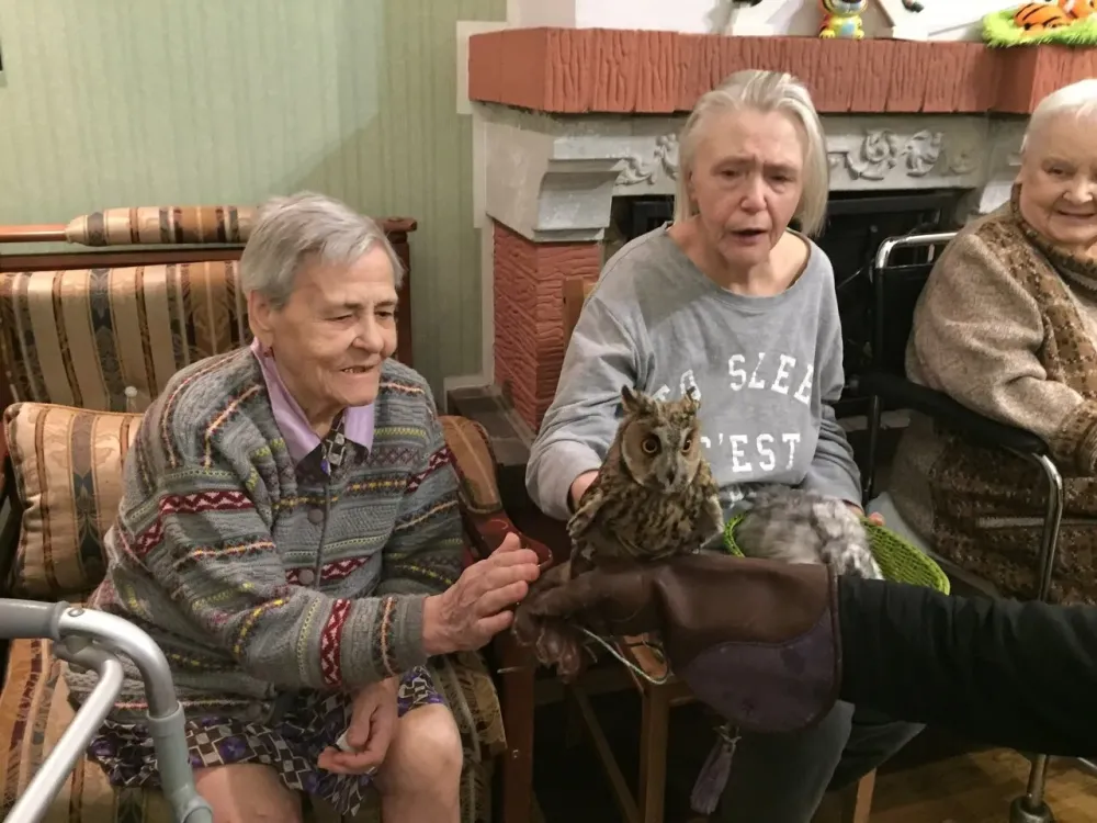 в Санкт-Петербурге Санкт-Петербург - изображение 2