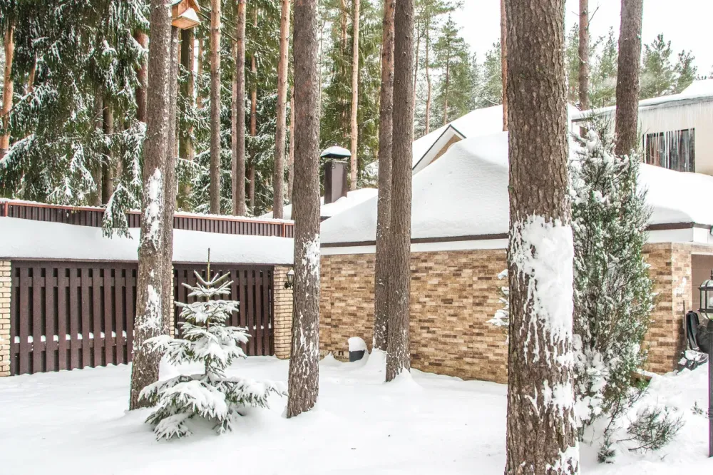 во Всеволожске Всеволожск - изображение 14