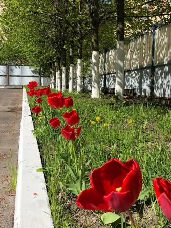 в Санкт-Петербурге Санкт-Петербург