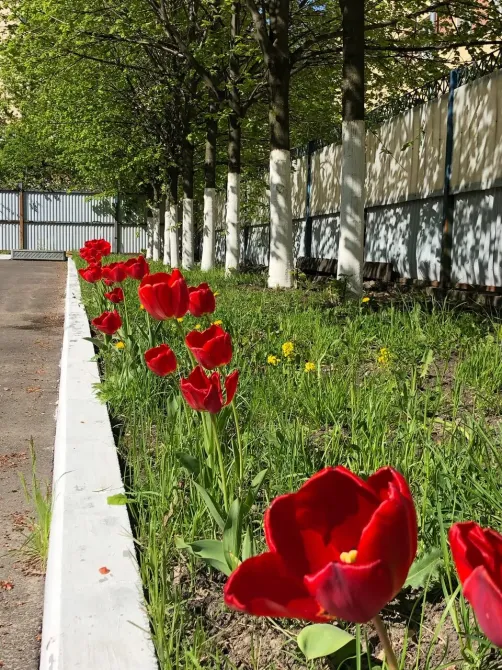 в Санкт-Петербурге Санкт-Петербург - изображение 3