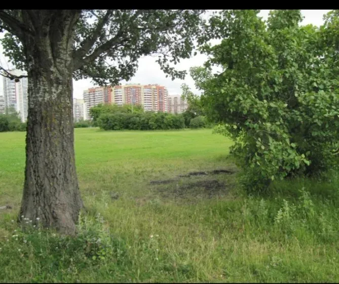 в Санкт-Петербурге Санкт-Петербург - изображение 10